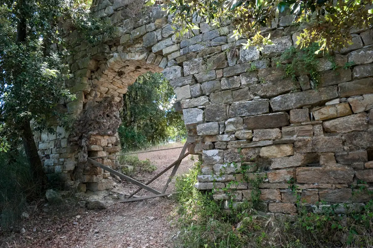 Porta d’accesso in pietra del Castello di Monternano, immersa nella vegetazione