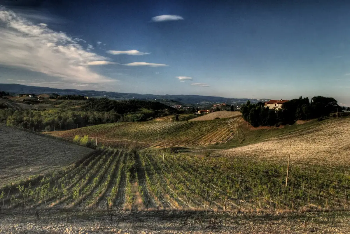 Panorama collinare con vigneti e casale nelle campagne del Chianti