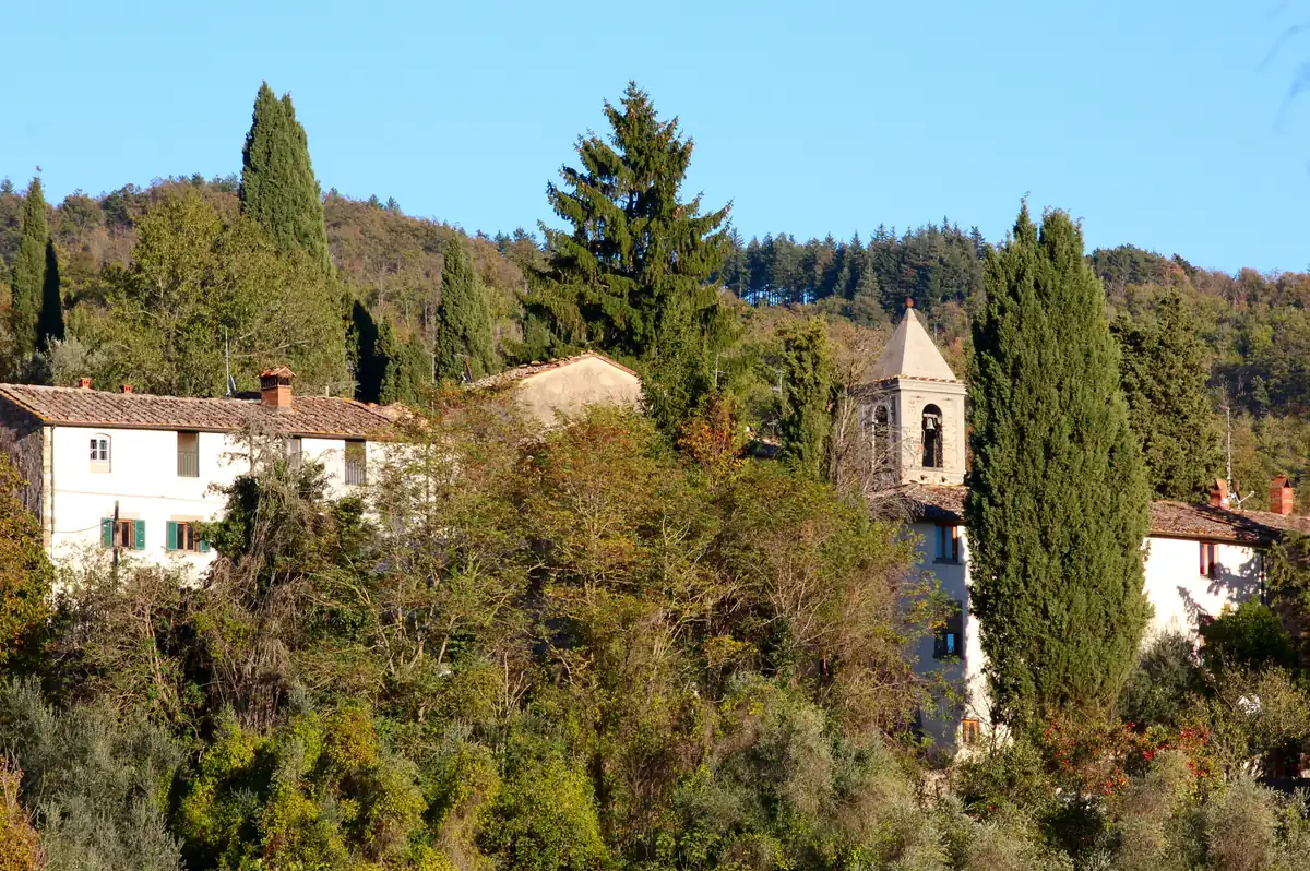 Panorama dell'abitato di Selvole tra case, alberi e colline boscose